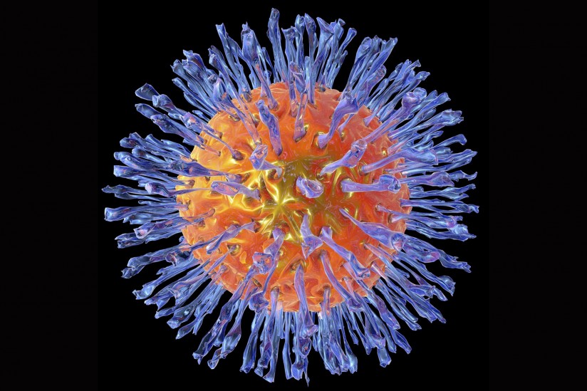 Herpesvirus